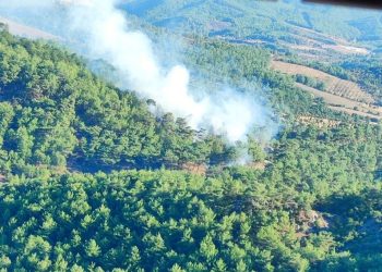 Çanakkale’deki orman yangını denetim altına alındı