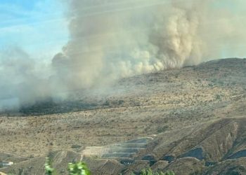 Çankırı’da ağaçlık alanda yangın