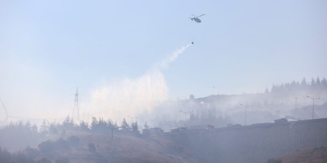 Çatalca’da ormanlık alanda yangın çıktı