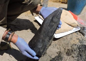 Cetlerimiz taş devranında ahşap yapılar inşa etti