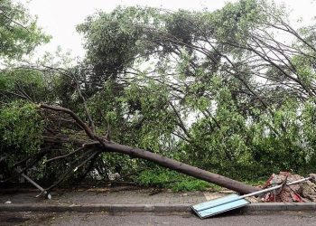 Çin’de hortum felaketi: 5 meyyit, 4 yaralı