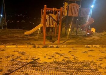 Çocuk parkında ayı paniği