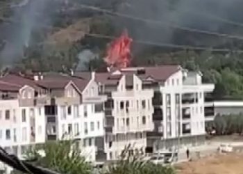 Çöp için yakılan ateş ormana sıçradı