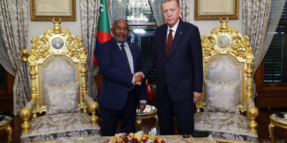 Cumhurbaşkanı Erdoğan, Cumhurbaşkanı Assoumani Azali ile görüştü