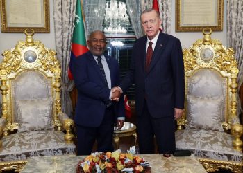 Cumhurbaşkanı Erdoğan, Cumhurbaşkanı Assoumani Azali ile görüştü