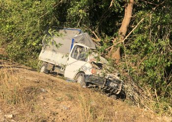 Denetimden çıkan kamyonet ağaca çarptı: 3 meyyit