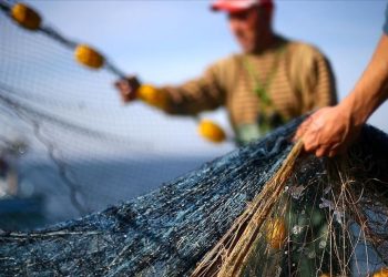 Denizden balık yerine pirinç çuvalları çıktı