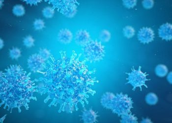 DSÖ’den birinci onay Mısır’a: Hepatit C’yi ortadan kaldırma amacı