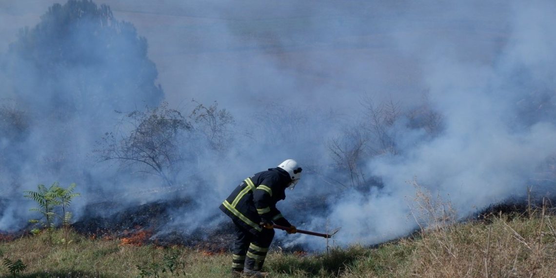 Edirne’de orman yangını