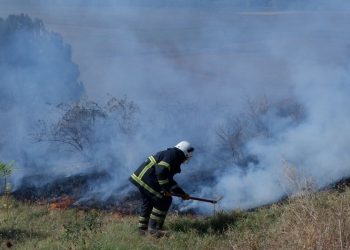 Edirne’de orman yangını