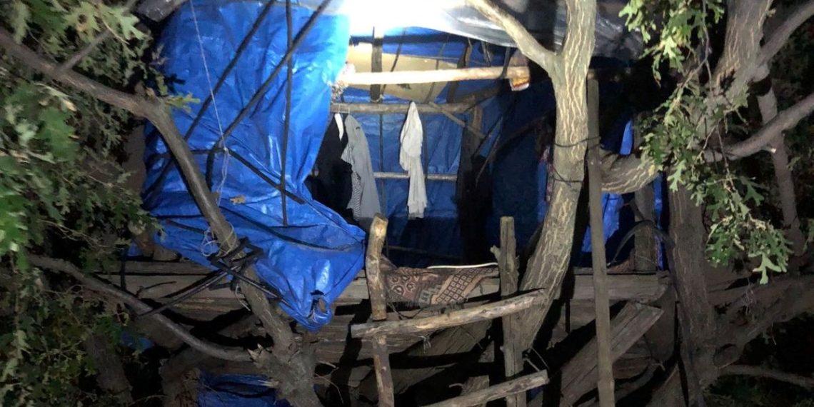 Firari hükümlü ağaç üstündeki çadırda yakalandı