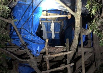 Firari hükümlü ağaç üstündeki çadırda yakalandı