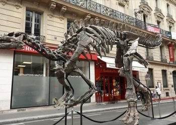 Fransa’da 150 milyon yıllık dinozor iskeleti açık artırmayla satılacak