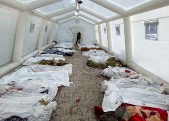 Gazze’de 47 aile yok oldu