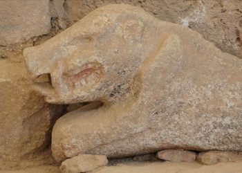 Göbeklitepe’de bulunan yaban domuzu heykeli görüntülendi
