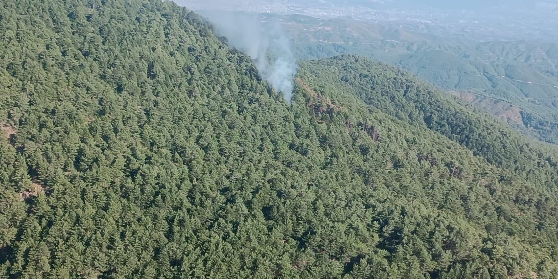 Hatay’da orman yangını