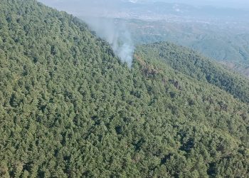 Hatay’da orman yangını