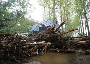 İğneada’da sel felaketi: Ruhsatsız kamp yerinin sahibi yakalandı
