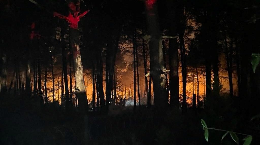 İstanbul Çekmeköy’de ormanlık alanda yangın