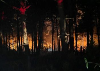 İstanbul Çekmeköy’de ormanlık alanda yangın