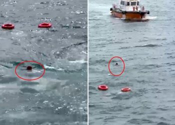 İstanbul’da bir yolcu vapurdan denize düştü