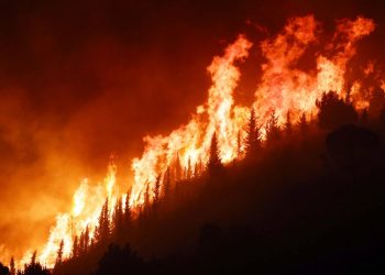 İtalya’da orman yangını: 2 kişi öldü