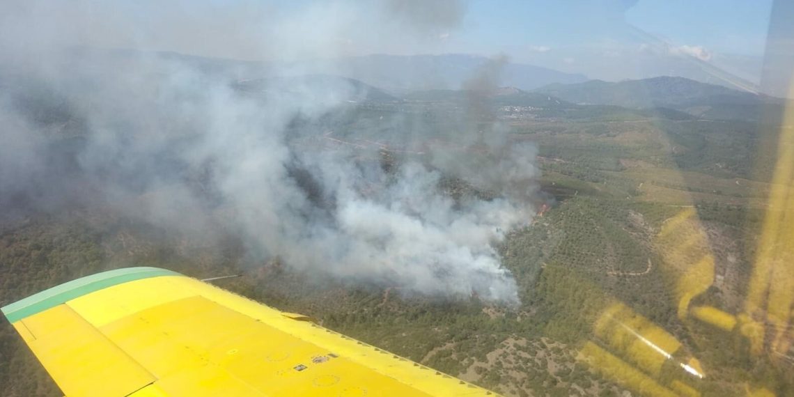 İzmir’de orman yangını