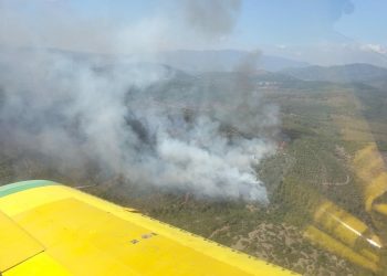 İzmir’de orman yangını