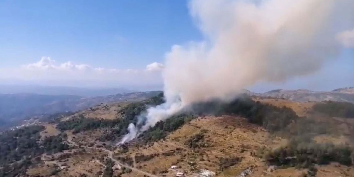 İzmir’de orman yangını