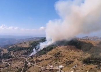 İzmir’de orman yangını