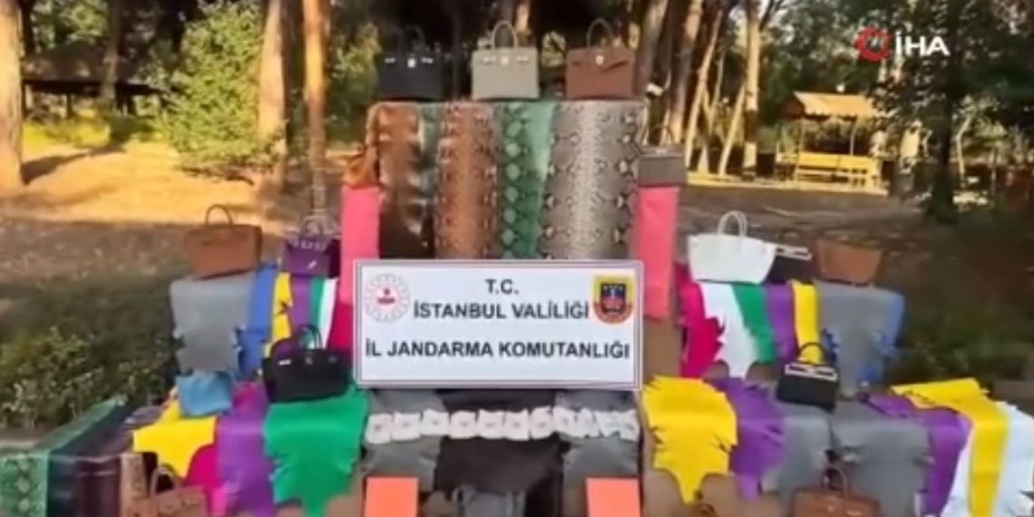 Kaçak imalathaneye baskın: Timsah, deve kuşu ve yılan derileri ele geçirildi