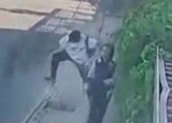 Kaldırımdaki zeytin fidanını nedensiz yere kırdı