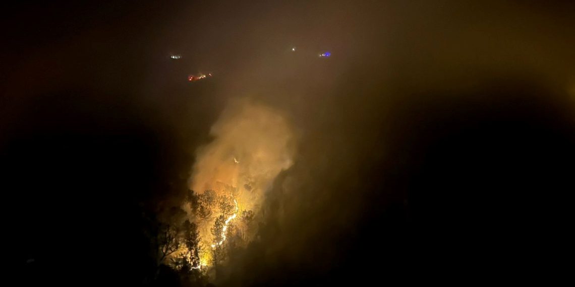 Karabük’te orman yangını