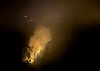 Karabük’te orman yangını