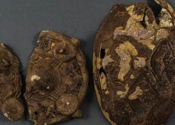 Kayıp küpe arayan aile bin yıllık Viking kalıntısı buldu