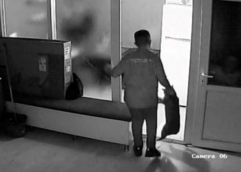 Kediye şiddet uygulayan çocuk gözaltına alındı