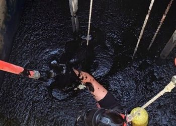 Kimyasal atık havuzuna düşen personel hayatını kaybetti