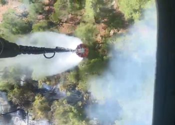 Kütahya’da orman yangını