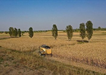 Mazot ve gübre takviyesi ne vakit yatacak? Ziraî takviye ödemeleriyle ilgili açıklama