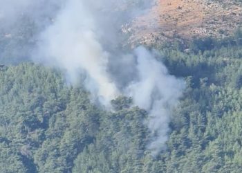 Muğla’da orman yangını