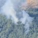 Muğla’da orman yangını