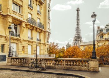 Paris’te tahtakuruları alarmı