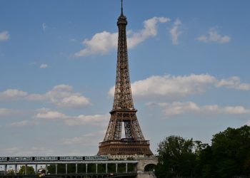 Paris’te tahtakurusu kabusu büyüyor