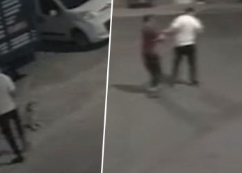 Sahipsiz köpeği bıçaklayarak öldürdü