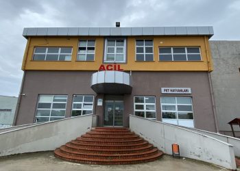 Samsun’da veteriner tabiplere taarruz kınandı