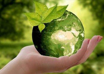 Sıfır Atık Vakfı kuruldu