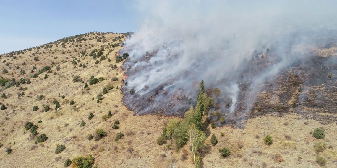 Sivas’ta otluk alanda yangın