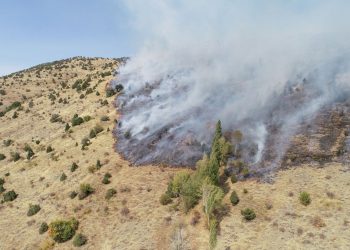 Sivas’ta otluk alanda yangın