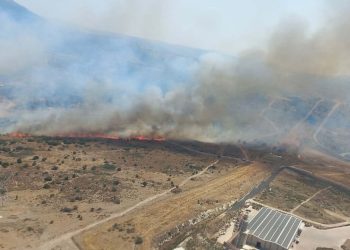 Sivas’ta otluk ve ağaçlık alanda yangın