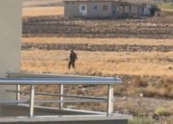 Tavuklarına ziyan veren köpekleri pompalı tüfekle vurdu